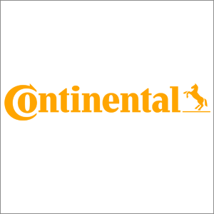 reference_continental_feature